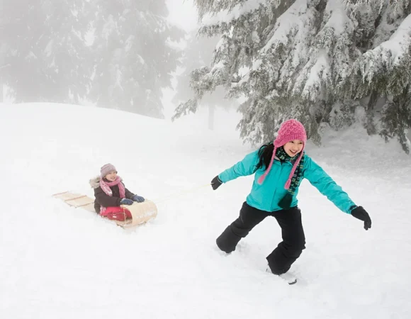 A Winter Wonderland Adventure For The Family