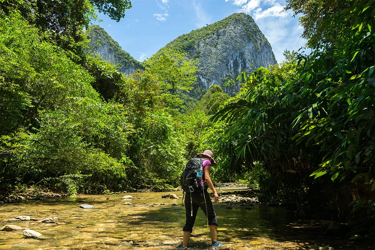 Uncover The Secrets Of Sarawak's National Parks