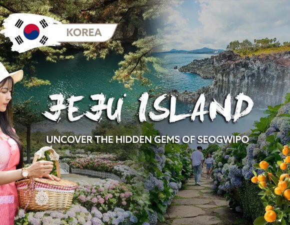 Capture Your Incredible Jeju Moments
