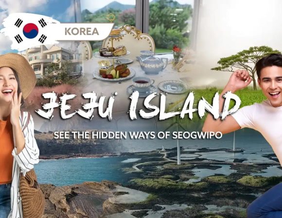 Unforgettable Picturesque Jeju Moments