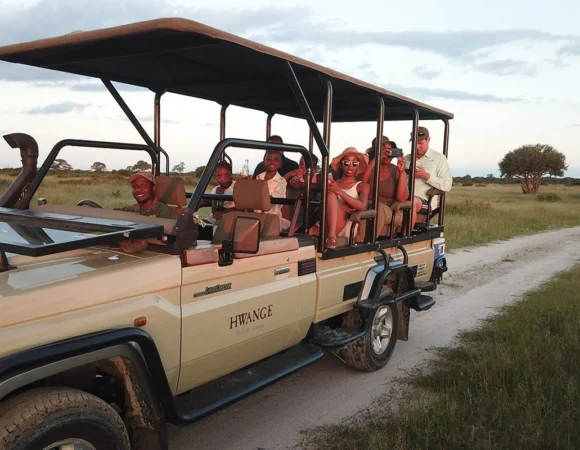 Exploring the Wild With The Perfect Game Drive Vehicle